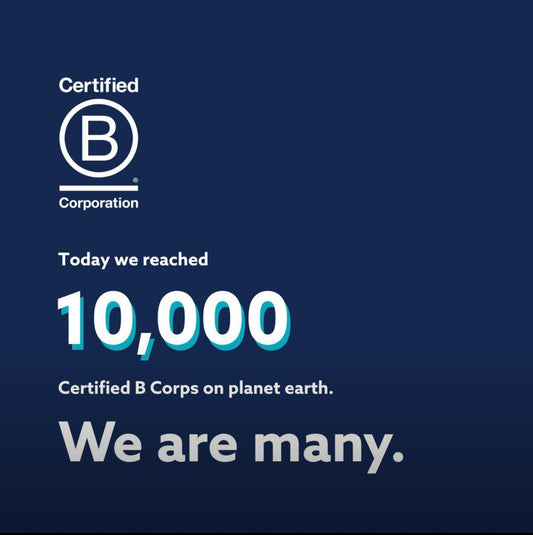B-Corp Hits 10,000 Members – A Loud Reminder That Business Can Be a Force for Good