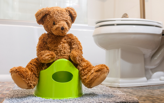 How Do you Potty Train a Toddler?