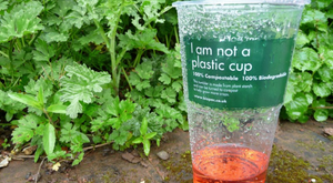 Is plastic really compostable?