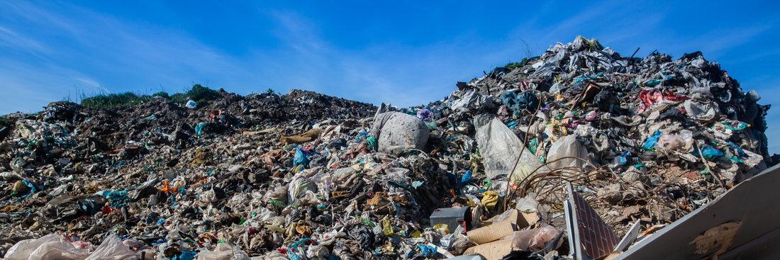 How to make your Christmas more Sustainable!