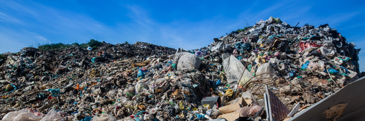 How to make your Christmas more Sustainable!