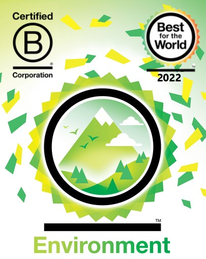 Best for the World - 2022 - for the second year running