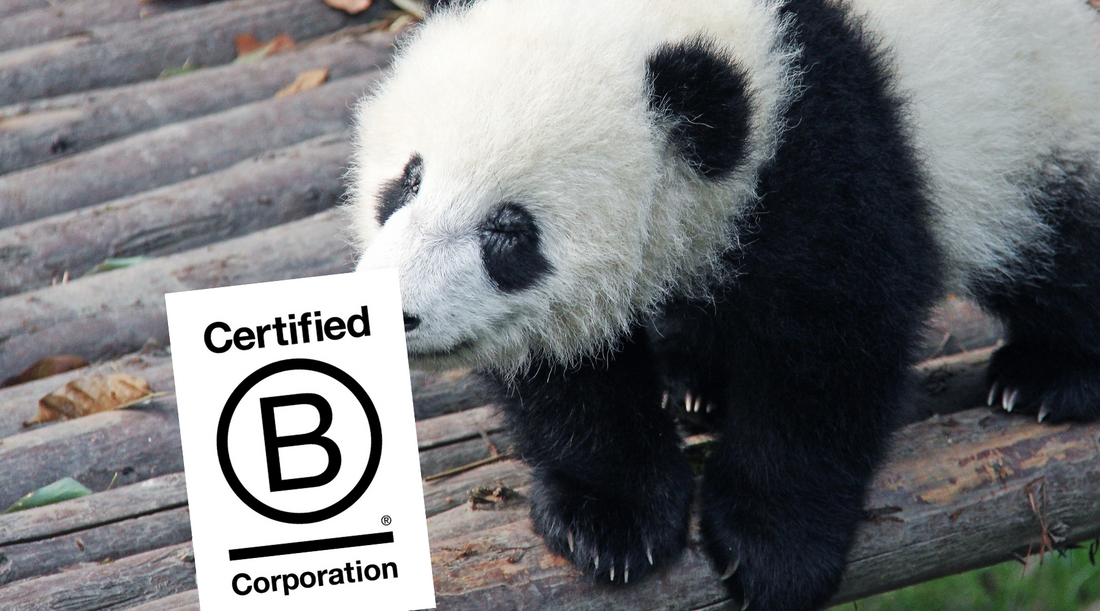 Mama Bamboo B-Corp image with a panda