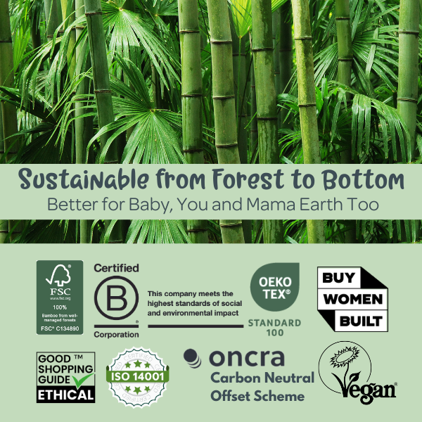 What Do All Our Accreditations Actually Mean? A Peek Behind the (Very Green) Curtain 🌿