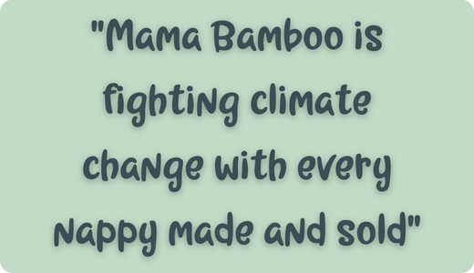 Mama Bamboo are Carbon Positive