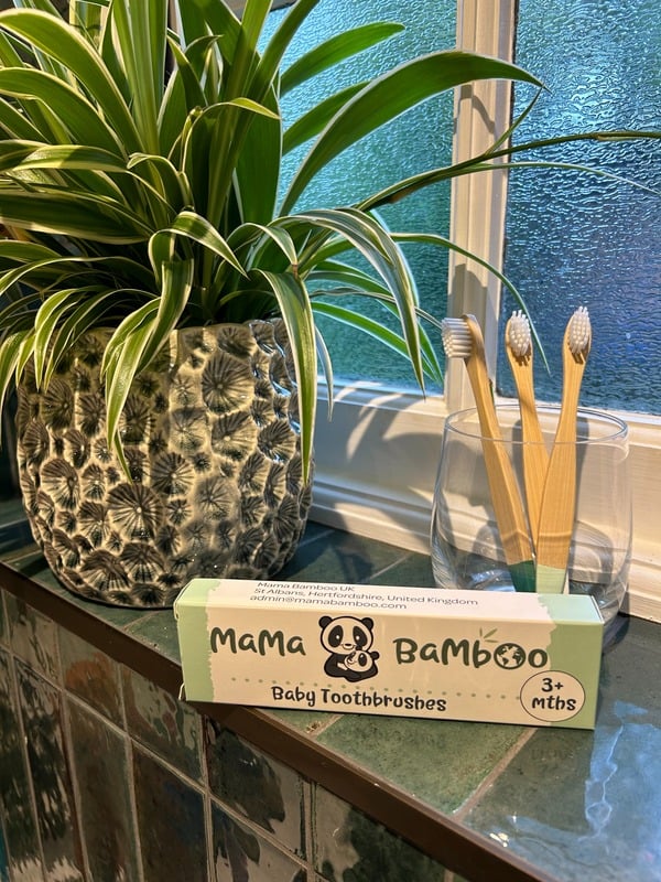 Bamboo Baby Toothbrushes