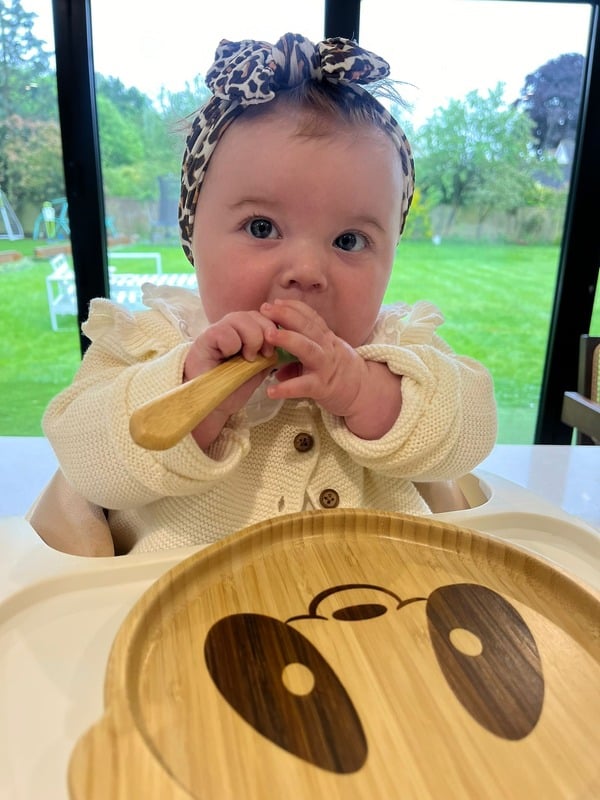 Bamboo Weaning Set